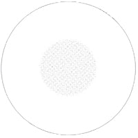 CrazyLab White Blind M (2 lenses/pack)